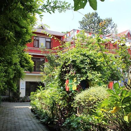 Rokpa Guest House Катманду Экстерьер фото